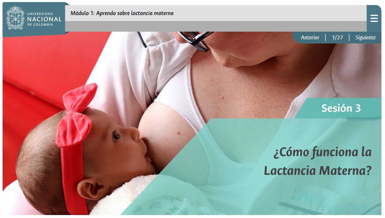 Virtual Course on Breastfeeding